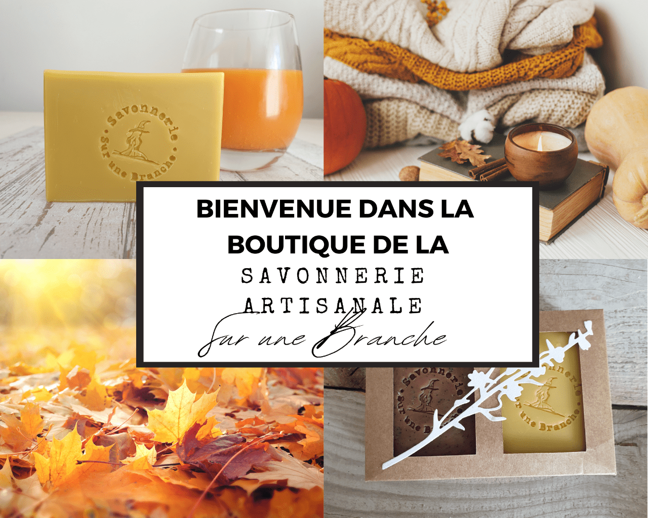 _savonnerie_artisanale_sur_une_branche_boutique_automne_2_-1-.png